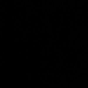 Meet your Posher, Sofia